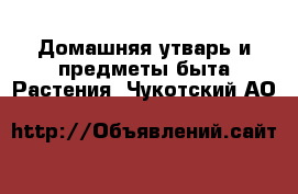 Домашняя утварь и предметы быта Растения. Чукотский АО